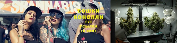 крисы Абдулино