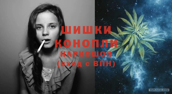 индика Майский